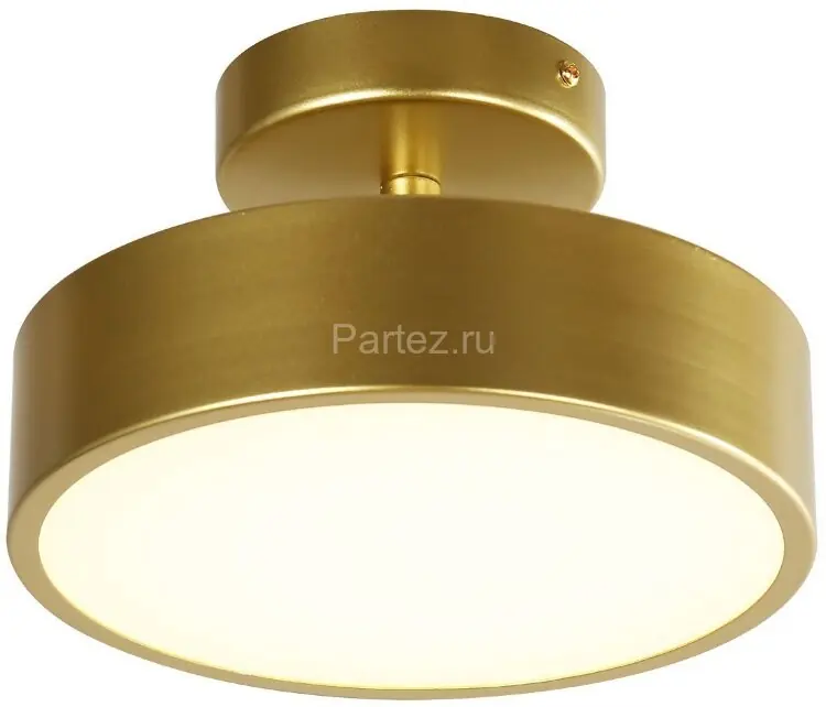 Потолочный светильник F-Promo 3059-2P