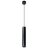 Подвесной светильник Arte Lamp A6110SP-2BK