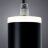 Подвесной светильник Arte Lamp A6110SP-2BK