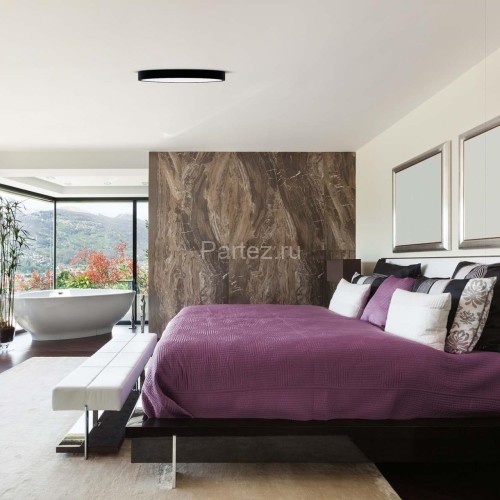 Потолочный светильник F-Promo 4683-4C