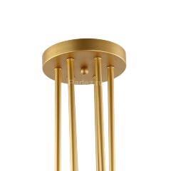 Потолочная люстра Favourite 2366-6P