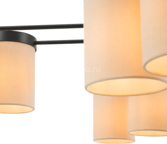 Потолочная люстра Freya FR5377CL-08B