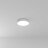 Потолочный светильник Arte Lamp A6635PL-1WH