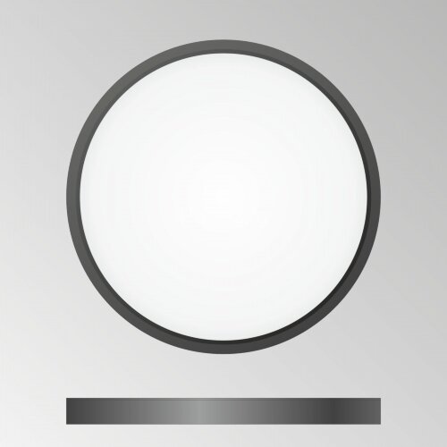 Потолочный светильник Citilux CL738241V