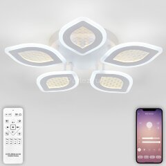 Потолочная люстра Natali Kovaltseva LED LAMPS 81167