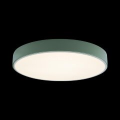 Потолочный светильник Loft It 10002/24 Green
