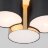 Потолочная люстра TK Lighting 3445 Mona Black / Gold