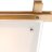 Потолочный светильник Arte Lamp A6460PL-3BR