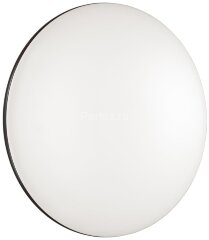 Настенно-потолочный светильник Sonex 3042/AL