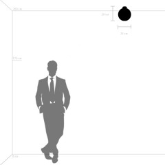 Потолочный светильник Lightstar 812031