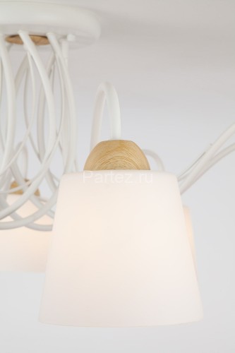 Потолочная люстра Eurosvet 70062/8 белый