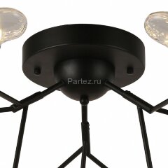 Потолочная люстра F-Promo 2480-9U