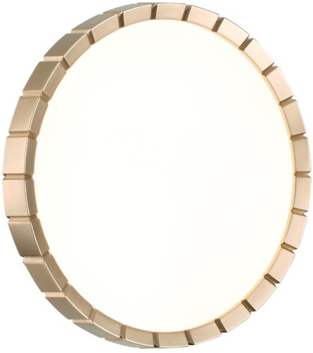 Настенно-потолочный светильник Sonex 7648/CL