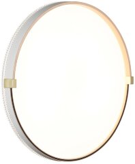 Настенно-потолочный светильник Sonex 7646/DL