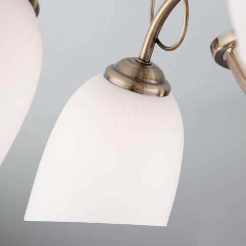 Потолочная люстра Eurosvet 30107/5 античная бронза