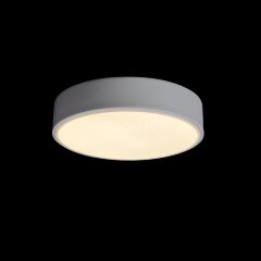 Потолочный светильник Loft It 10002/12 White