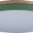 Потолочный светильник Loft It 10001/36 Green