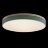 Потолочный светильник Loft It 10001/36 Green