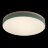 Потолочный светильник Loft It 10001/36 Green