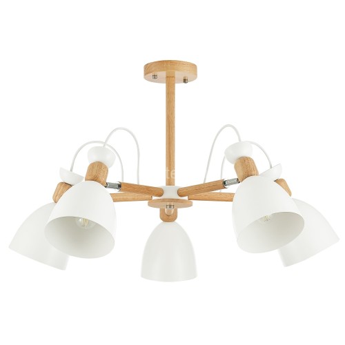 Потолочная люстра Evoluce SLE103802-05