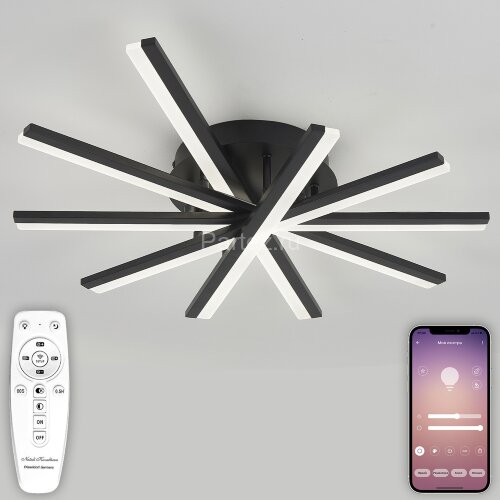 Потолочная люстра Natali Kovaltseva LED LAMPS 81174