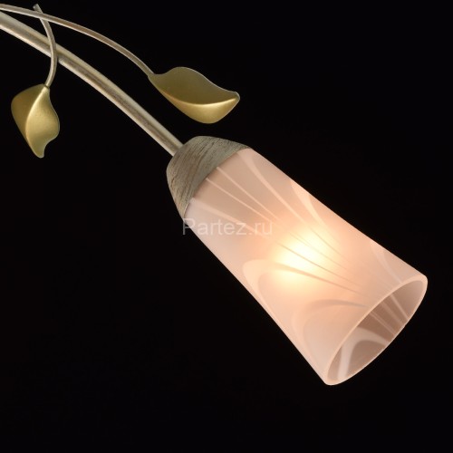 Потолочная люстра MW-Light 242015306