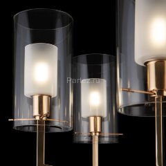 Потолочная люстра Freya FR5206PL-06FG