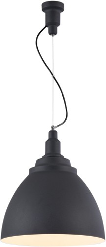 Подвесной светильник Maytoni P535PL-01B