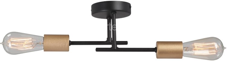 Потолочная люстра Vitaluce V3006-1/2PL