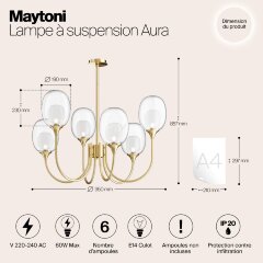Потолочная люстра Maytoni MOD016PL-06BS