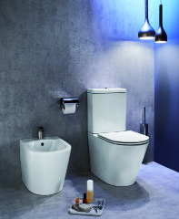 Чаша напольного унитаза Jacob Delafon Rodin+ безободковый, белый (UJAB102-00)