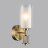 Бра Odeon Light 5088/1WA