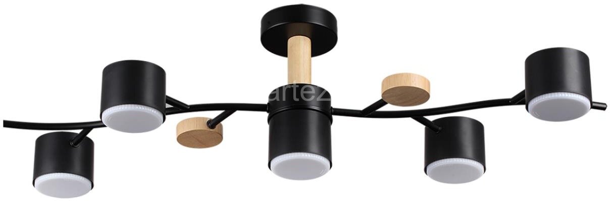 Потолочная люстра Lumion 8194/5C