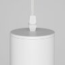 Подвесной светильник Maytoni P075PL-01W