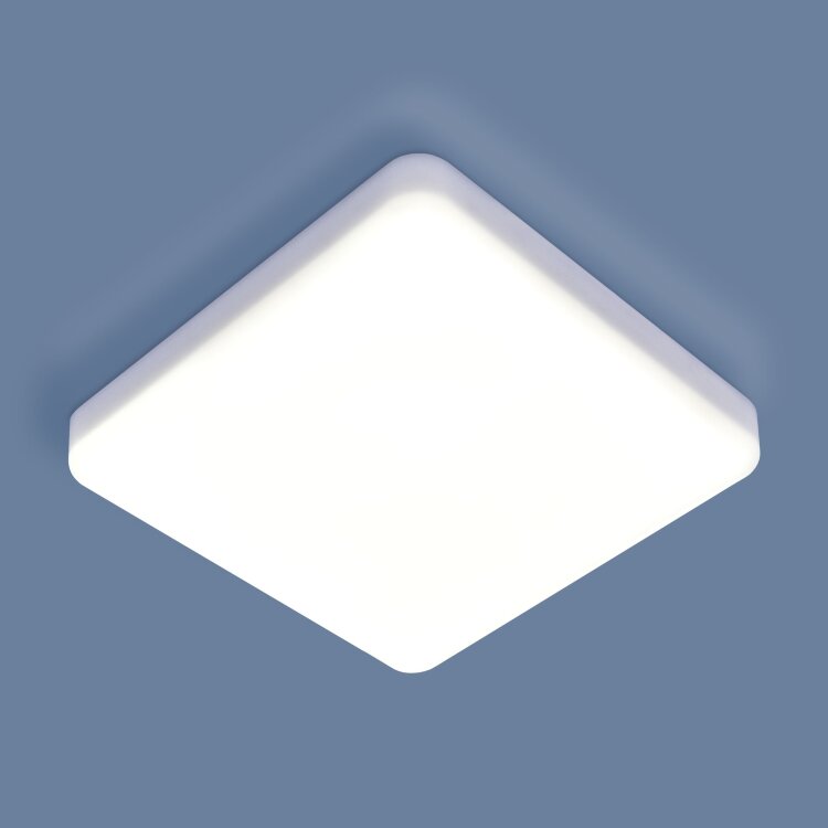 Потолочный светильник Elektrostandard DLS043