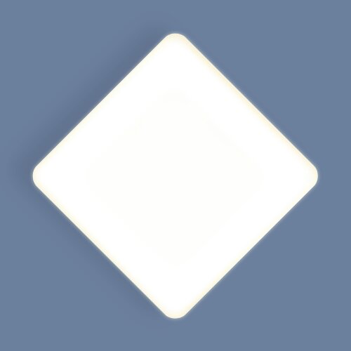 Потолочный светильник Elektrostandard DLS043