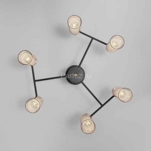 Потолочная люстра Eurosvet 70115/6 черный