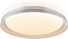 Потолочный светильник Citilux CL752450G