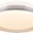 Потолочный светильник Citilux CL752450G