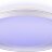 Потолочный светильник Citilux CL752450G