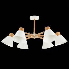 Потолочная люстра Evoluce SLE103702-06