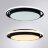 Потолочный светильник Arte Lamp A2688PL-1BK