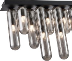 Потолочный светильник Favourite 4454-12P