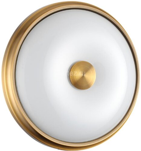 Настенно-потолочный светильник Odeon Light 4956/2