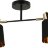 Потолочная люстра ILLUMICO IL6116-2COU-79 BK GD Abelie