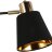 Потолочная люстра ILLUMICO IL6116-2COU-79 BK GD Abelie