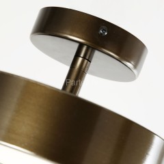 Потолочный светильник F-Promo 3060-2P