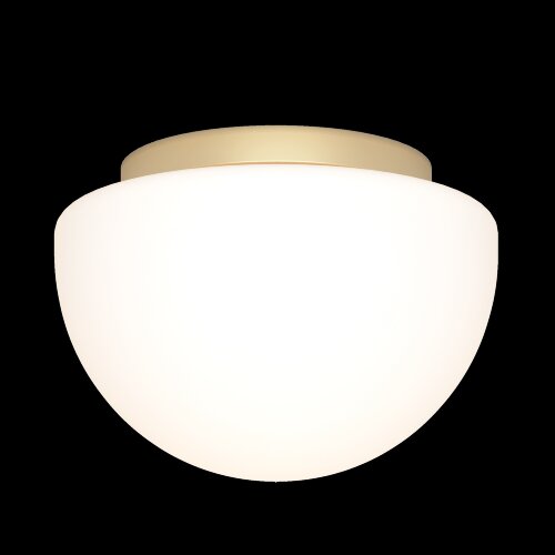 Потолочный светильник Maytoni MOD270CL-01G