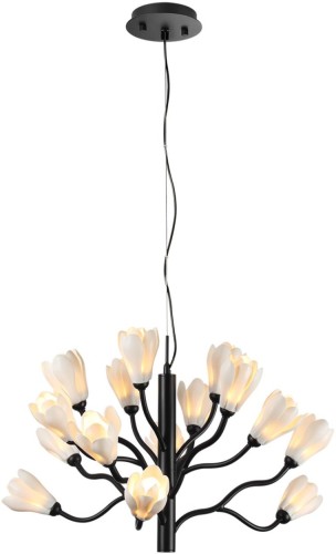 Подвесная люстра Odeon Light 5090/15