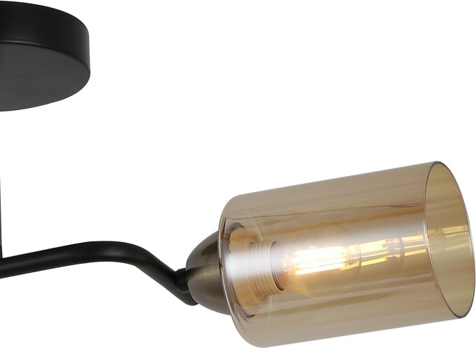 Потолочная люстра ILLUMICO IL8148-2COU-79 BK BR Bice